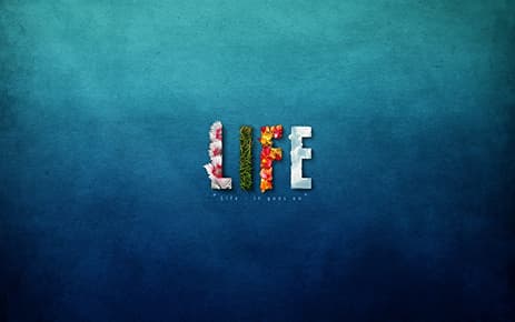 Life Motion Personal Training & Pilates
