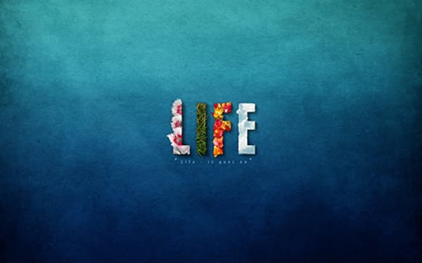 Life Motion Personal Training & Pilates - 14. Fotoğraf Life Motion Personal Training & Pilates - 14. Fotoğraf