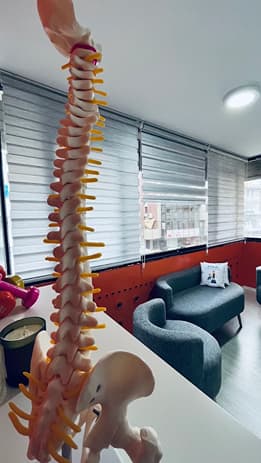 Fizyoterapist Mustafa Bora - Kocatepe Düğün Mekanları - 3. Fotoğraf